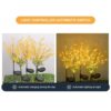 2Pcs Solar Canola Flower Lights for Garden Christmas Decor