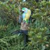 Solar Parrot Light LED Outdoor Decor Lamp Parrot Stake Sculpture