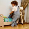 Small Wooden Kids Bookshelf for Easy Organization