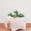 Handmade Terracotta Elephant Pot - Folk Design