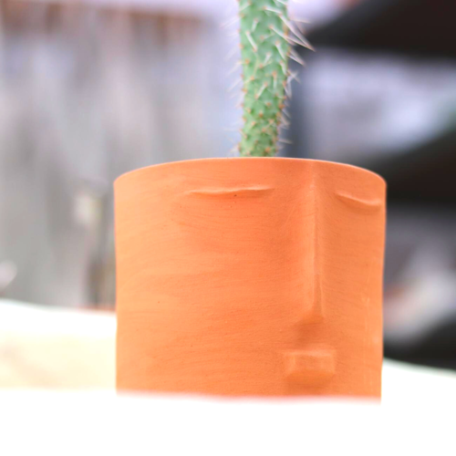 Artisan Ceramic Handmade Planter with Face Detail in Terracotta