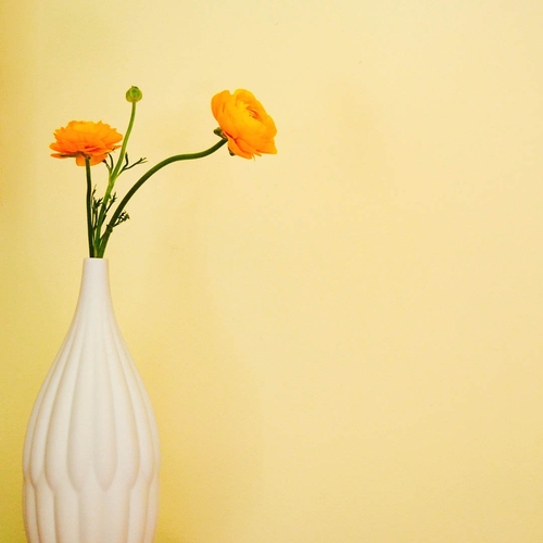 Collection of 3 Textured Porcelain Vases – Decorative and Elegant