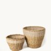 Savar Planter