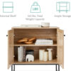 2-Door Rattan Storage Cabinet, Accent Furniture, Multifunctional