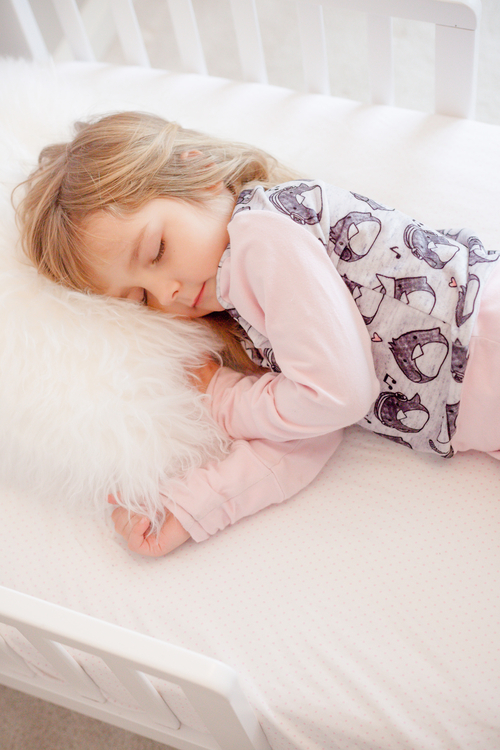 SheetWorld Fitted Youth Bed Sheet - 100% Cotton Jersey - Pink Pindot,