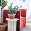 Savar Planter