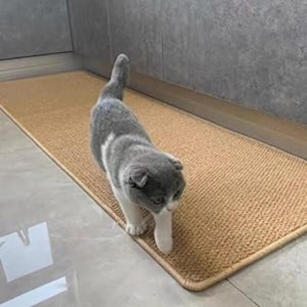 82fe5810-45e6-49fa-98ac-908c2152a252.jpg Super Absorbent Laundry Room Runner Rug (25" x 95")